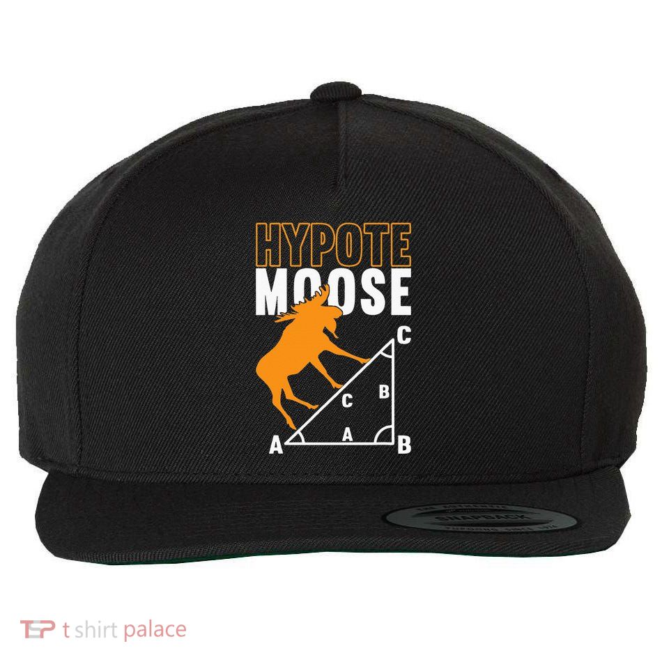 Hyotemoose Mathematician Math Teacher Wool Snapback Cap