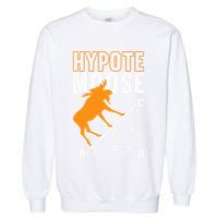 Hyotemoose Mathematician Math Teacher Garment-Dyed Sweatshirt