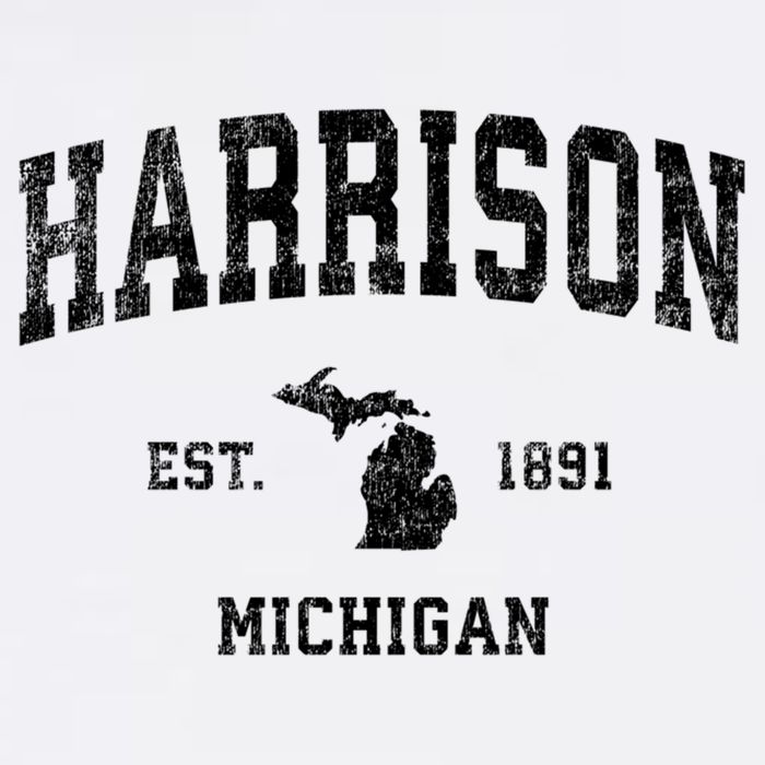 Harrison Michigan Mi Vintage Established Sports Design Beanie