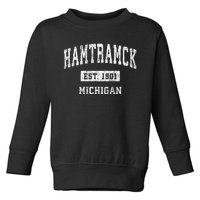 Hamtramck Michigan Mi Vintage Sports Toddler Sweatshirt