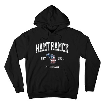 Hamtramck Michigan Mi Vintage American Flag Sports Design Hoodie