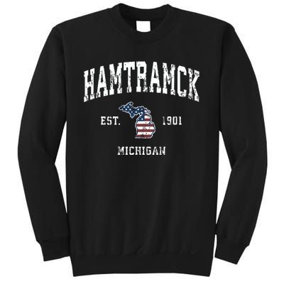 Hamtramck Michigan Mi Vintage American Flag Sports Design Sweatshirt