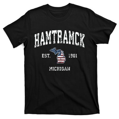 Hamtramck Michigan Mi Vintage American Flag Sports Design T-Shirt