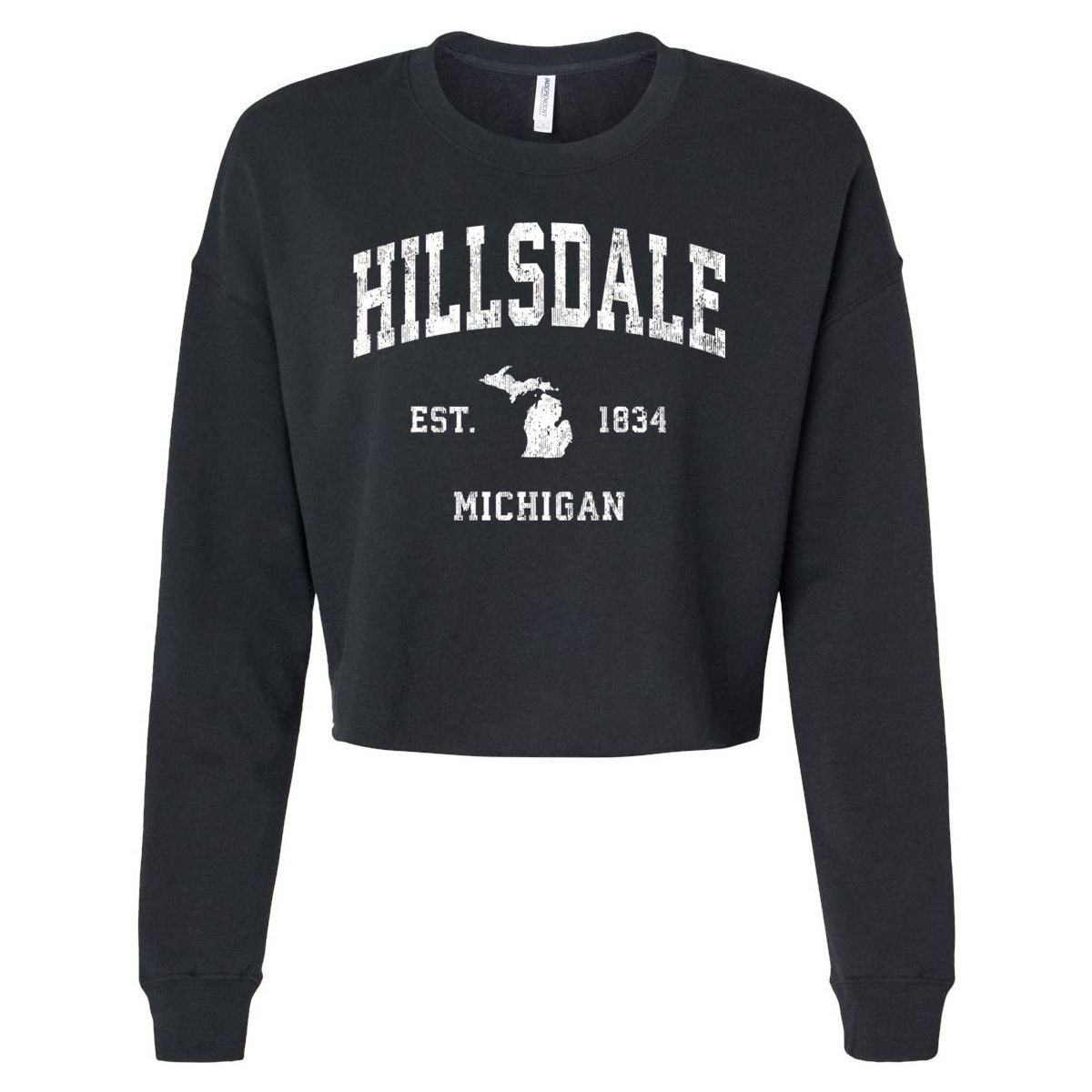 Hillsdale Michigan Mi Vintage Athletic Cropped Pullover Crew