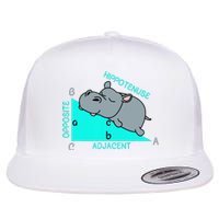 Hippotenuse Math Mathematics Teacher Joke Fun Saying Flat Bill Trucker Hat