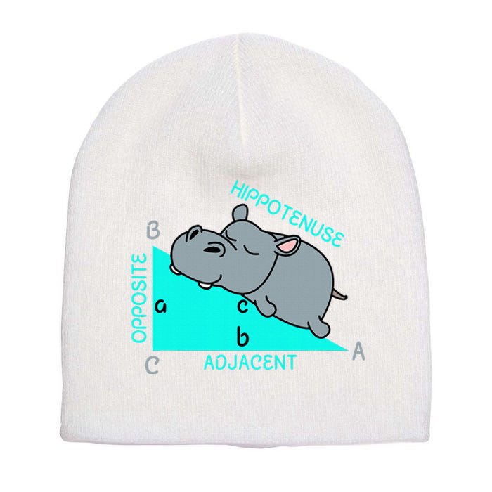 Hippotenuse Math Mathematics Teacher Joke Fun Saying Short Acrylic Beanie