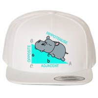 Hippotenuse Math Mathematics Teacher Joke Fun Saying Wool Snapback Cap