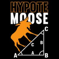 Hyotemoose Mathematician Math Teacher 7-Panel Snapback Hat