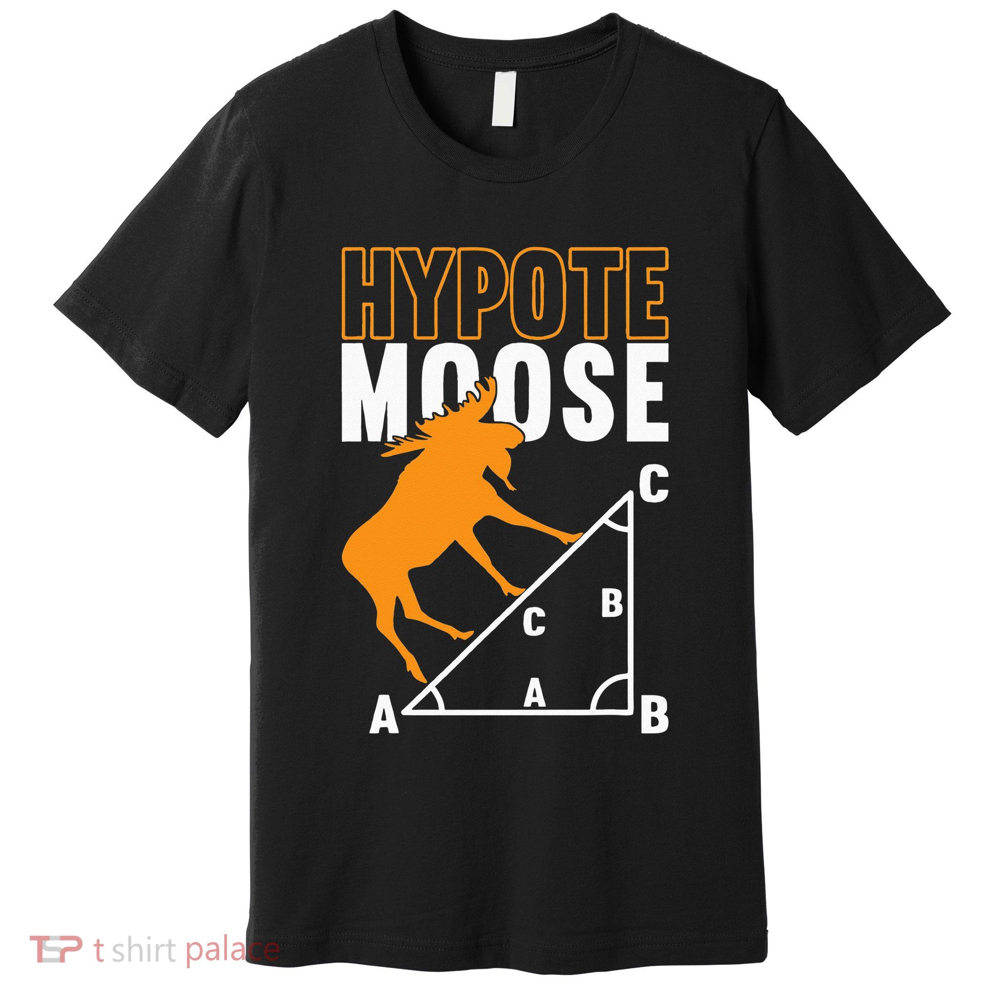 Hyotemoose Mathematician Math Teacher Premium T-Shirt