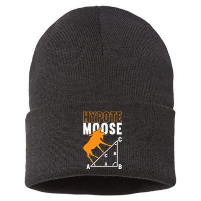 Hyotemoose Mathematician Math Teacher Sustainable Knit Beanie