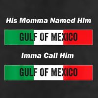 His Momma Named Him Gulf Of Mexico Funny Quote 11oz C Handle Ceramic Mug