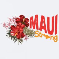 Hibiscus Maui Strong Hawaii Strong Ikaika Maui Strong Sueded Cloud Jersey T-Shirt