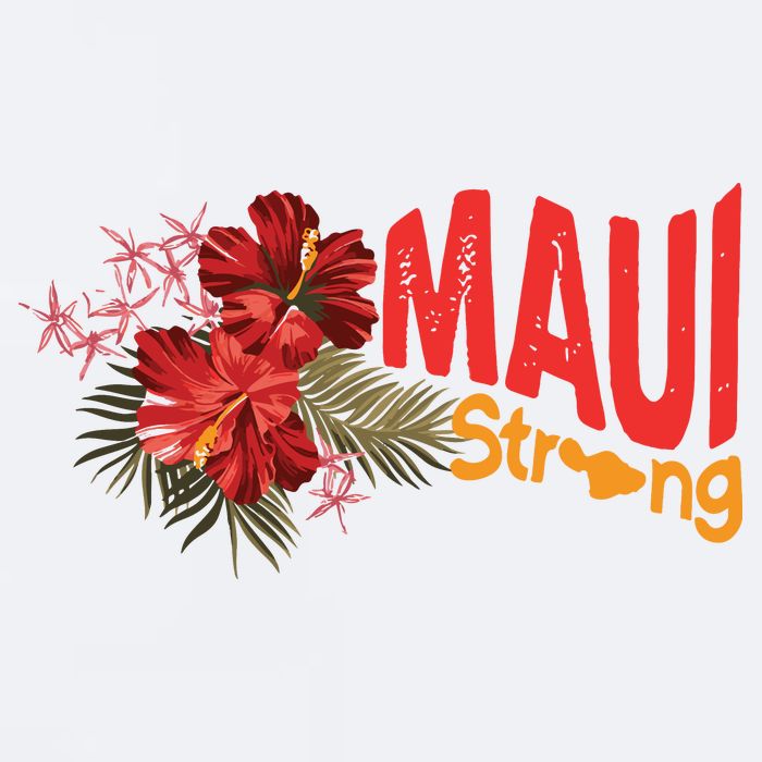 Hibiscus Maui Strong Hawaii Strong Ikaika Maui Strong Sueded Cloud Jersey T-Shirt