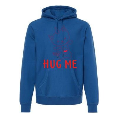 Hug Me Unicorn Cat Valentines Day Cat Unicorn Lovers Funny Gift Premium Hoodie