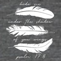 Hide Me Under The Shadow Of You Wings Psalm 17 8 7-Panel Snapback Hat