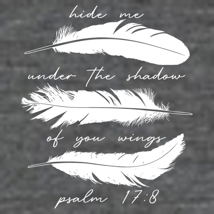 Hide Me Under The Shadow Of You Wings Psalm 17 8 7-Panel Snapback Hat
