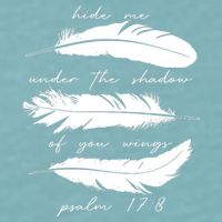 Hide Me Under The Shadow Of You Wings Psalm 17 8 Sueded Cloud Jersey T-Shirt