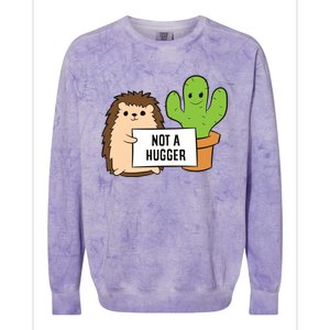 Hedgehog Not A Hugger Cactus Hedgehog Great Gift Colorblast Crewneck Sweatshirt