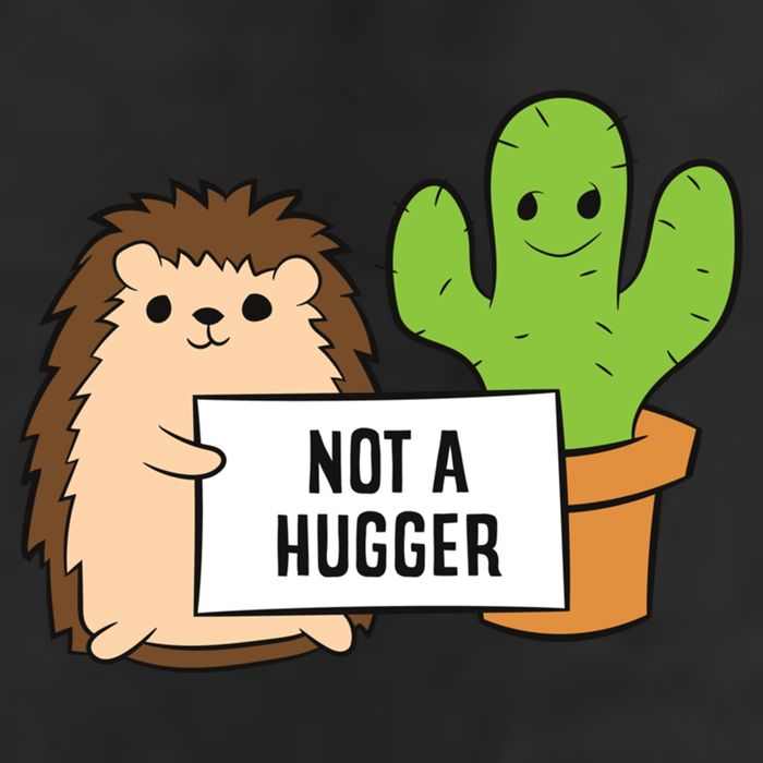 Hedgehog Not A Hugger Cactus Hedgehog Great Gift Adult Drive Performance Visor