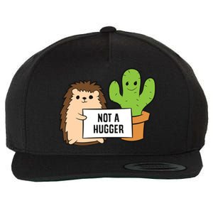 Hedgehog Not A Hugger Cactus Hedgehog Great Gift Wool Snapback Cap