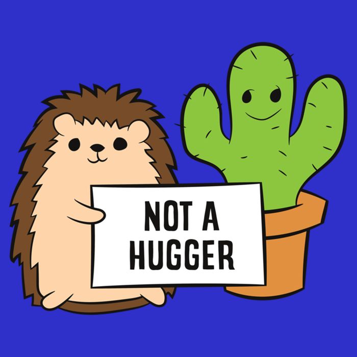 Hedgehog Not A Hugger Cactus Hedgehog Great Gift Sweatshirt