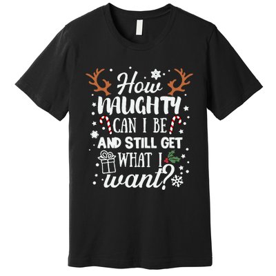 How Naughty Can I Be & Still Get What I Want Xmas Premium T-Shirt