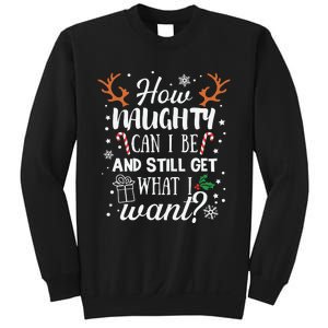 How Naughty Can I Be And Still Get What I Want Sweatshirt