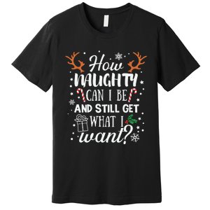 How Naughty Can I Be And Still Get What I Want Premium T-Shirt