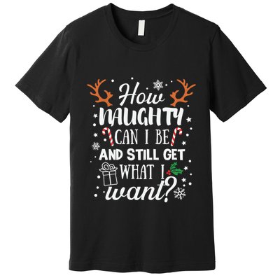 How Naughty Can I Be And Still Get What I Want Premium T-Shirt