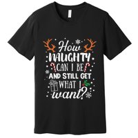 How Naughty Can I Be And Still Get What I Want Premium T-Shirt