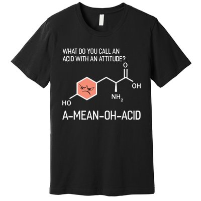 Humor Nerdy Chemistry T Gifts Amino Acid For Women Men Premium T-Shirt