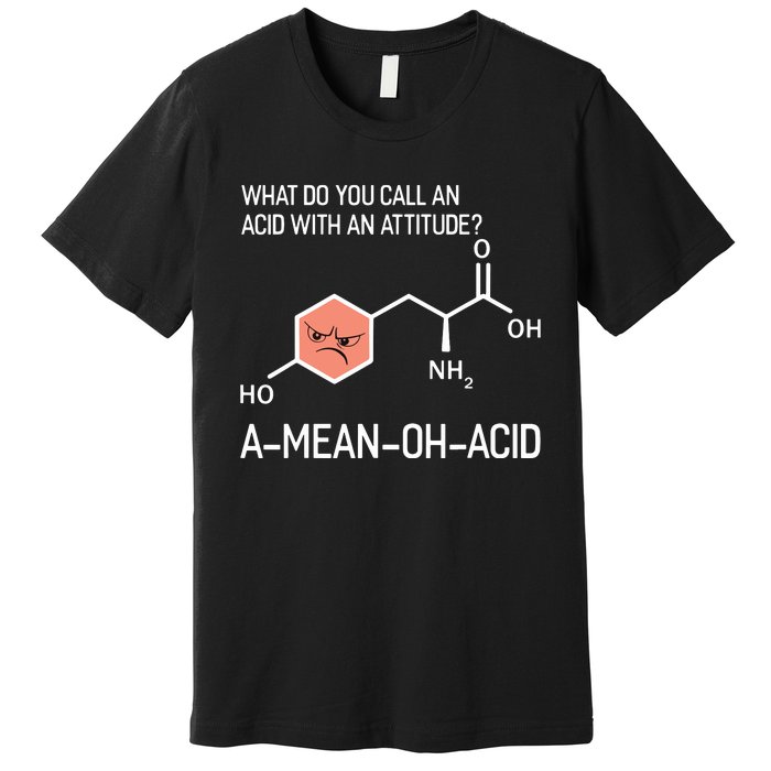 Humor Nerdy Chemistry T Gifts Amino Acid For Women Men Premium T-Shirt