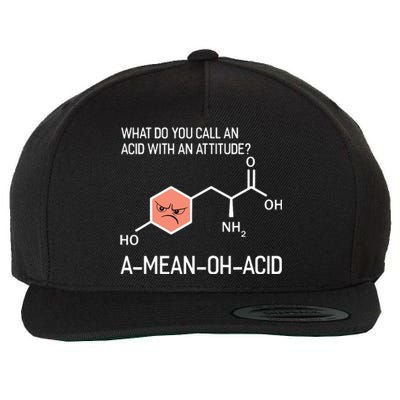 Humor Nerdy Chemistry T Gifts Amino Acid For Women Men Wool Snapback Cap