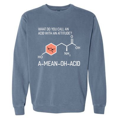 Humor Nerdy Chemistry T Gifts Amino Acid For Women Men Garment-Dyed Sweatshirt