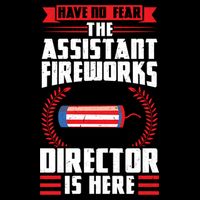 Have No Fear The Assistant Fireworks Director Firework Usa Funny Gift Wool Snapback Cap