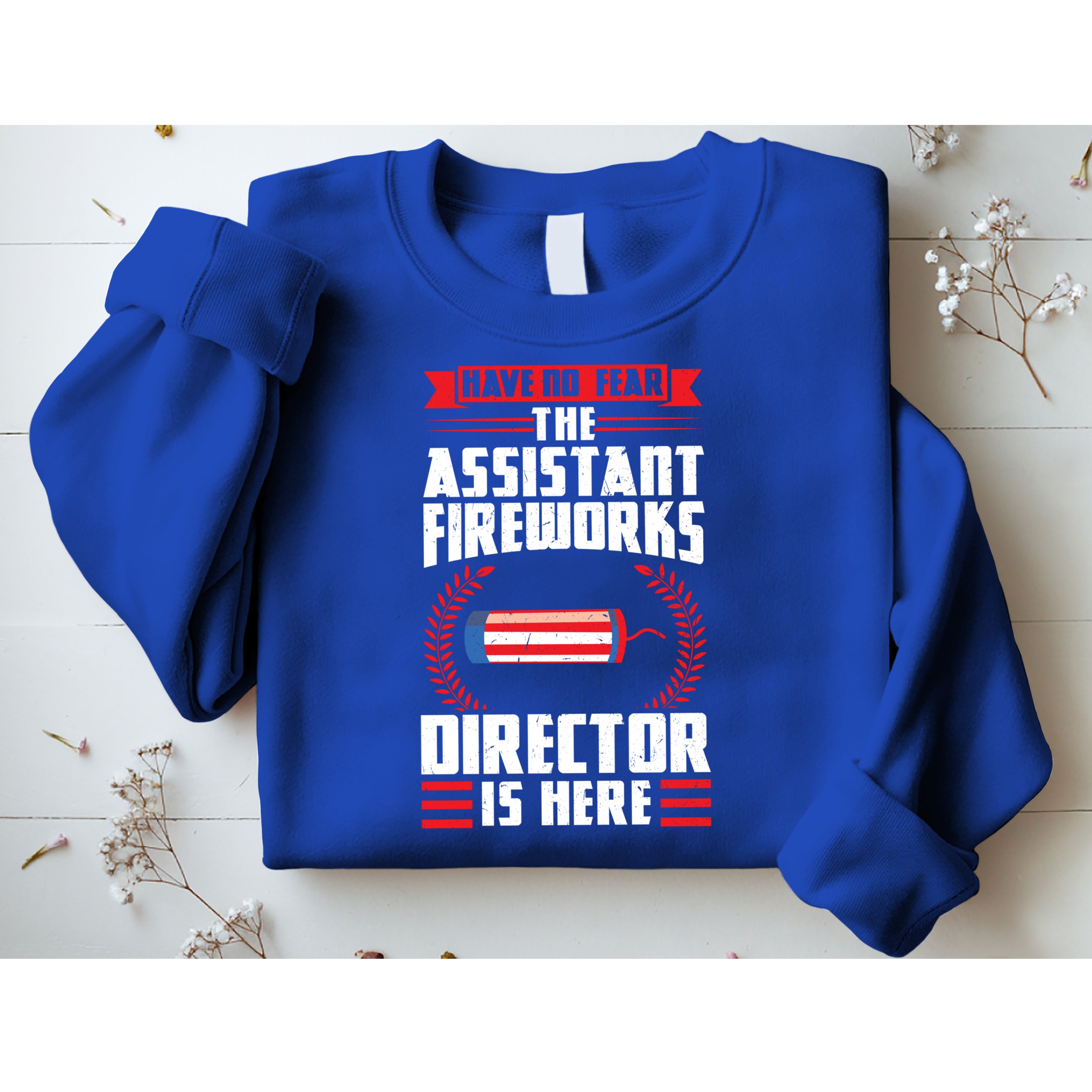 Have No Fear The Assistant Fireworks Director Firework Usa Funny Gift Sweatshirt