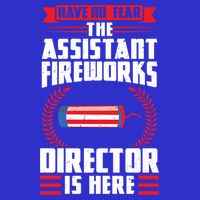 Have No Fear The Assistant Fireworks Director Firework Usa Funny Gift Toddler T-Shirt