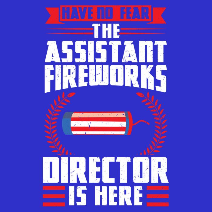 Have No Fear The Assistant Fireworks Director Firework Usa Funny Gift Toddler T-Shirt