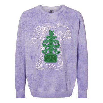 Haudenosaunee Nationals Lacrosse Wear Redress Project Shooting Colorblast Crewneck Sweatshirt