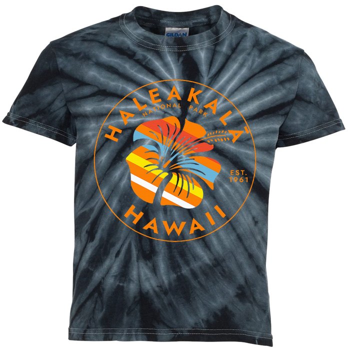 Haleakala National Park Hawaii Usa Vacation Souvenir Kids Tie-Dye T-Shirt