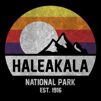 Haleakala National Park Retro Cool Gift Flexfit Unipanel Trucker Cap