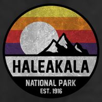 Haleakala National Park Retro Cool Gift 11oz C Handle Ceramic Mug