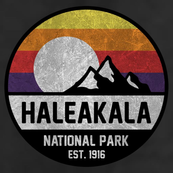 Haleakala National Park Retro Cool Gift 11oz C Handle Ceramic Mug