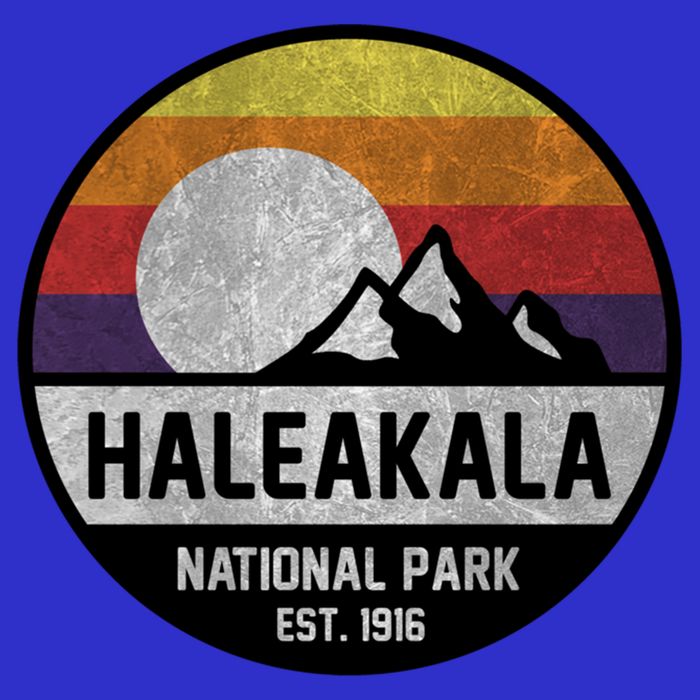 Haleakala National Park Retro Cool Gift Long Sleeve Shirt