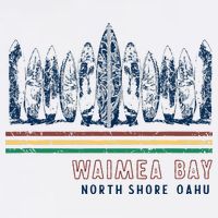 Hawaii North Shore Oahu Waimea Bay Retro Surfing Flat Bill Trucker Hat