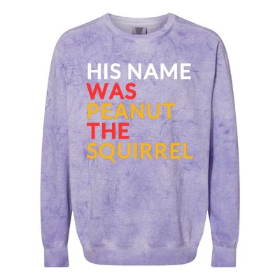 His Name Was Peanut The Squirrel Justice For Peanut 2024 Colorblast Crewneck Sweatshirt