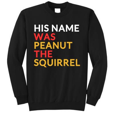 His Name Was Peanut The Squirrel Justice For Peanut 2024 Sweatshirt