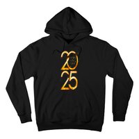 Happy New Year Party Supplies 2025 Family Matching Fireworks Hoodie