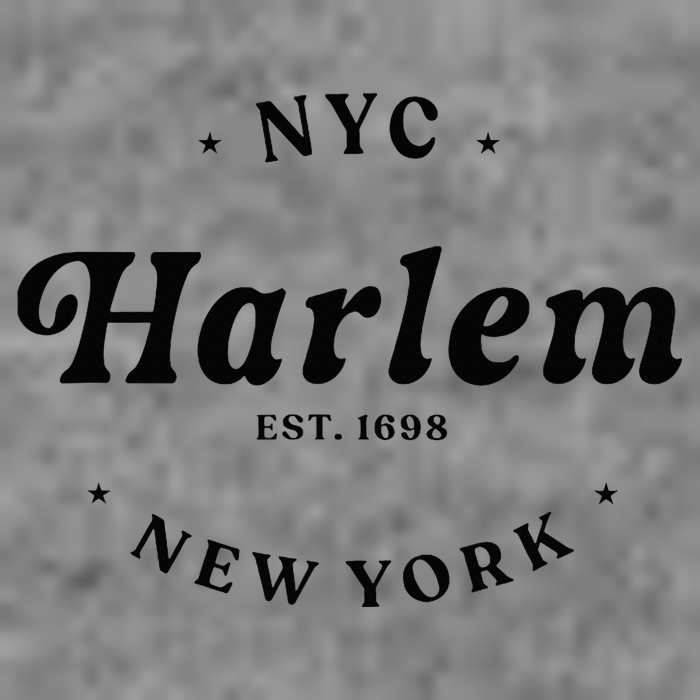 Harlem New York City Nyc Women Retro Harlem Toddler Hoodie