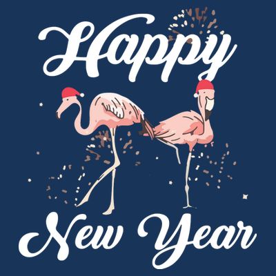 Happy New Year Outfit Gift For Flamingo Lover New Years Day T-Shirt